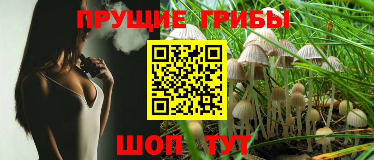 Галлюциногенные грибы MAGIC MUSHROOMS  Вход с VPN  Псилоцибиновые грибы Cubensis  Абинск 